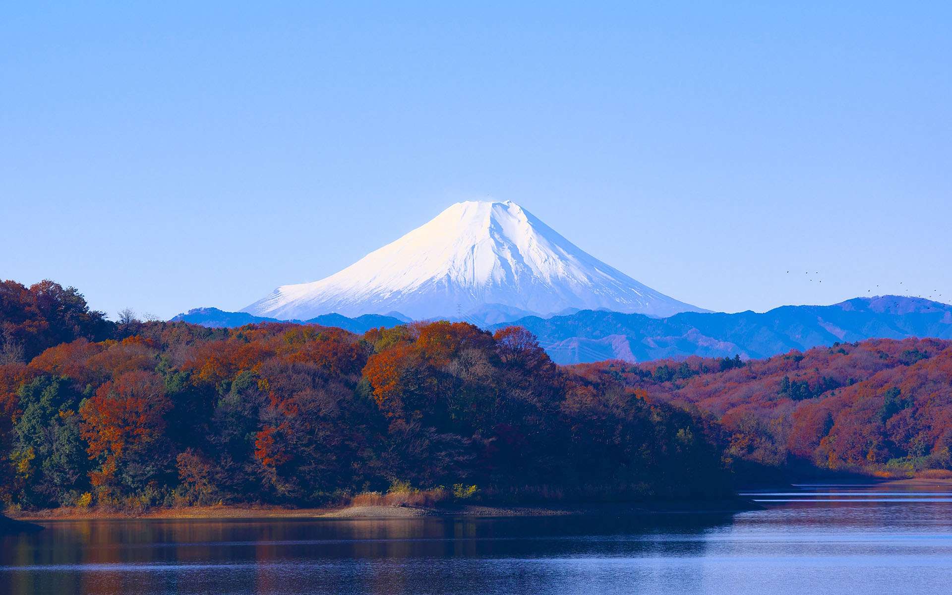 日语语法辨析之「～になる」和「となる」