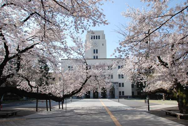 去日本出国留学要不要办信用卡