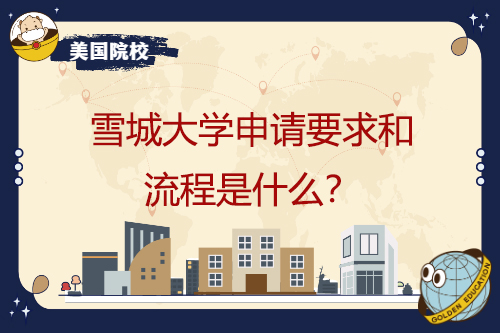 雪城大学的申请要求和流程是什么？