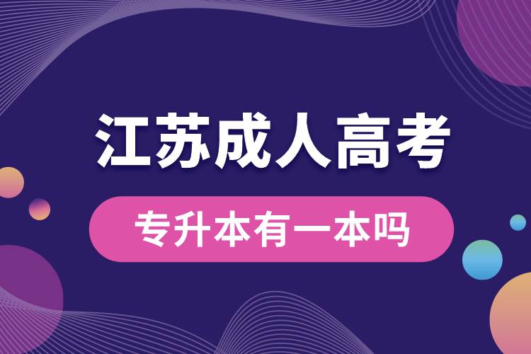 江苏成人高考专升本有一本吗