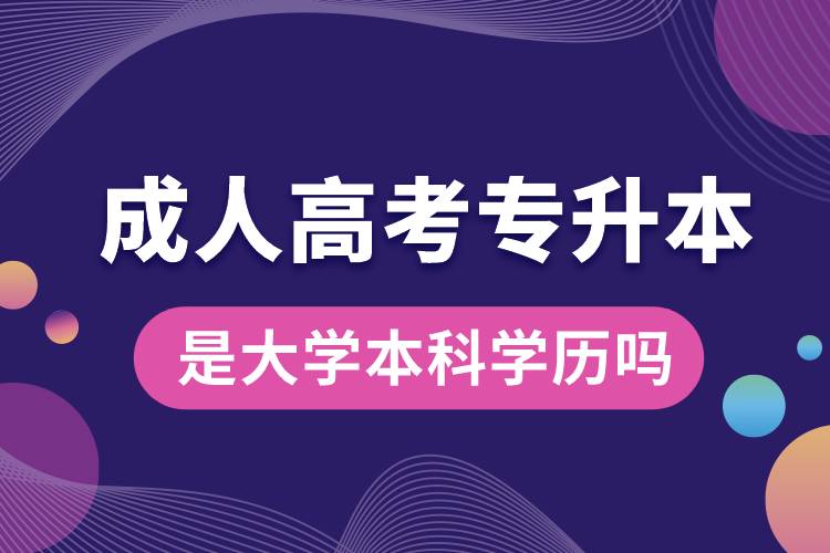 成人高考专升本是大学本科学历吗