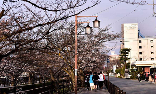 名校趴日本爱知县立艺术大学怎么样