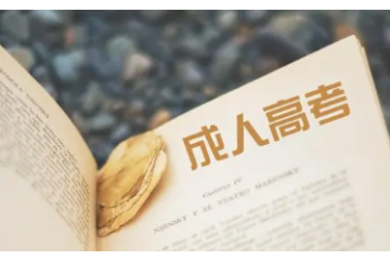 创业者与成人高考学历要求：创新人才培养的新途径