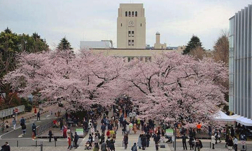 日本大学怎么样？