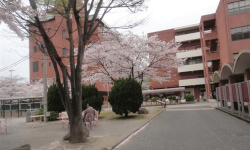 日本九州大学怎么样