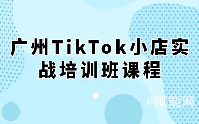 广州TikTok小店实战培训班课程